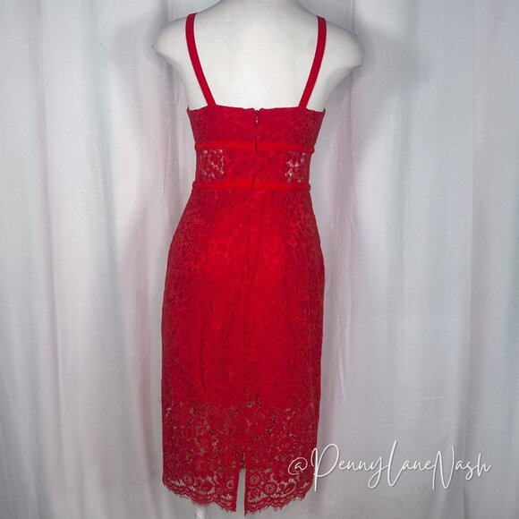 Express Red Piped Lace Midi Sheath Dress - Picture 12 of 16